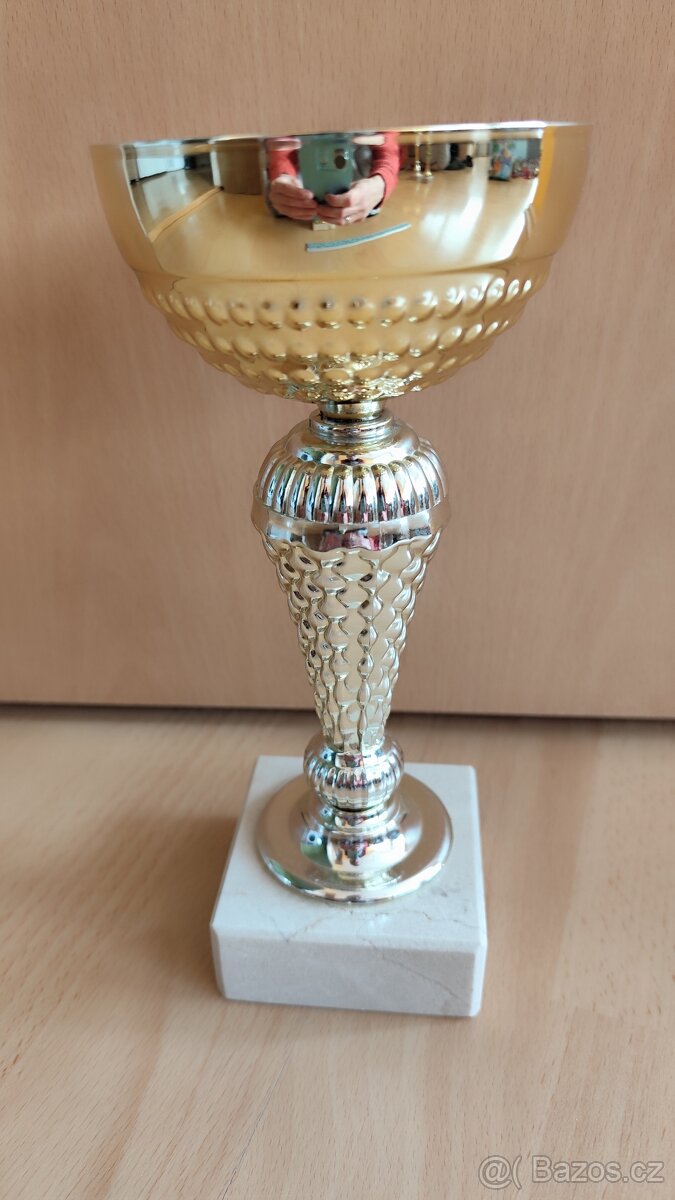Sportovní pohár