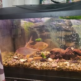 Akvárium Diversa 126 l + stolek