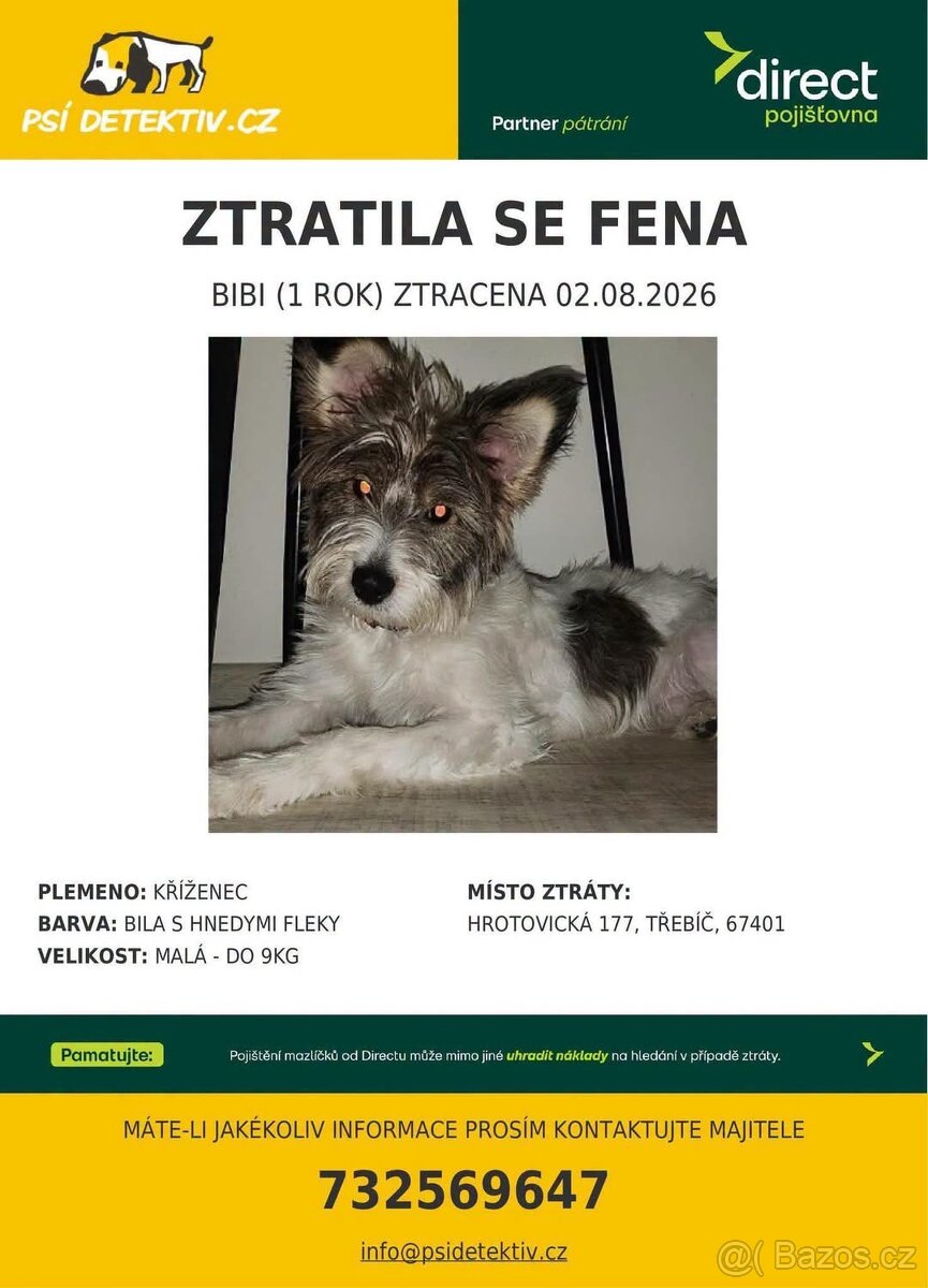 HLEDÁ SE FENKA