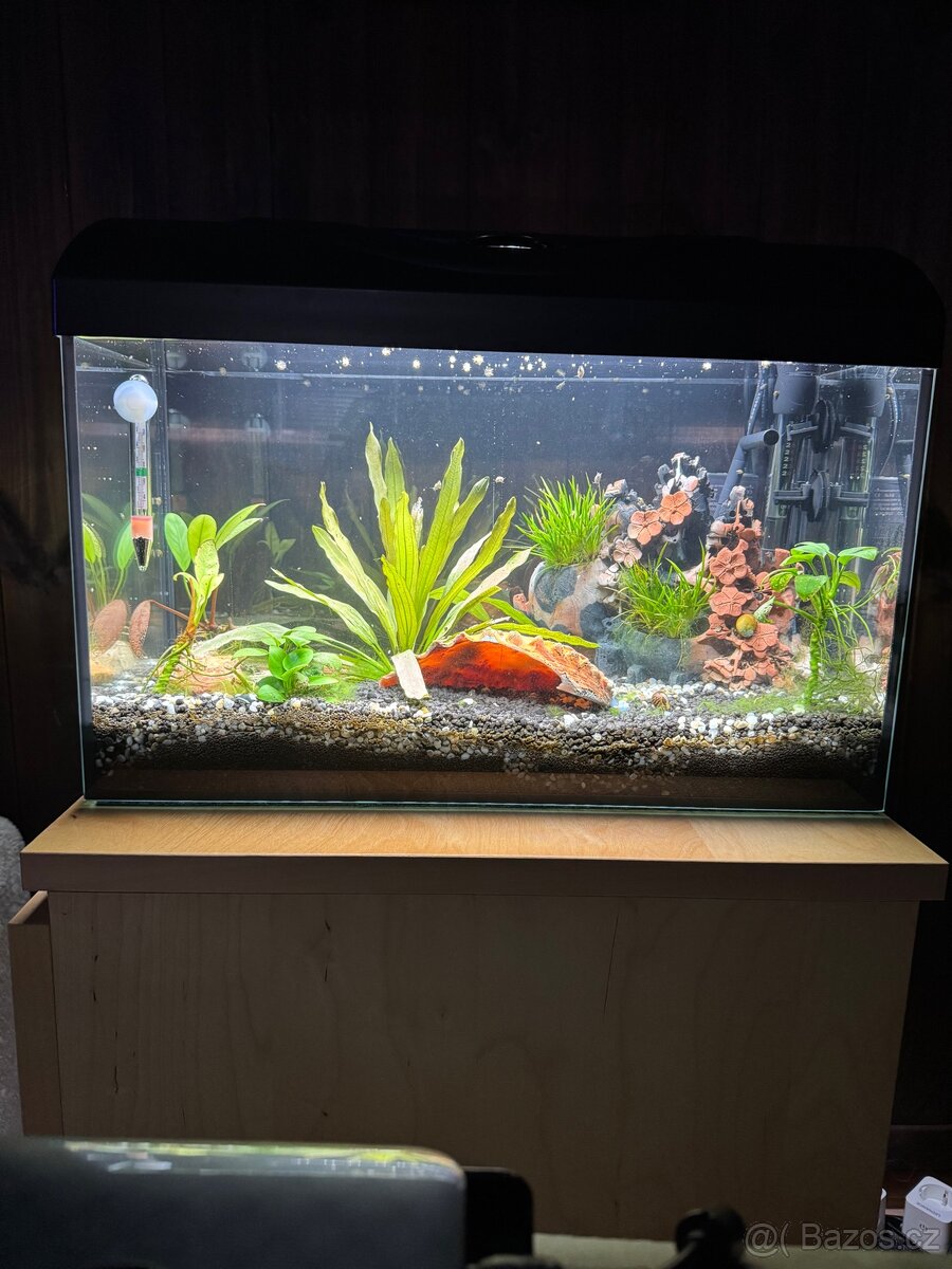Akvárium cca 40 l