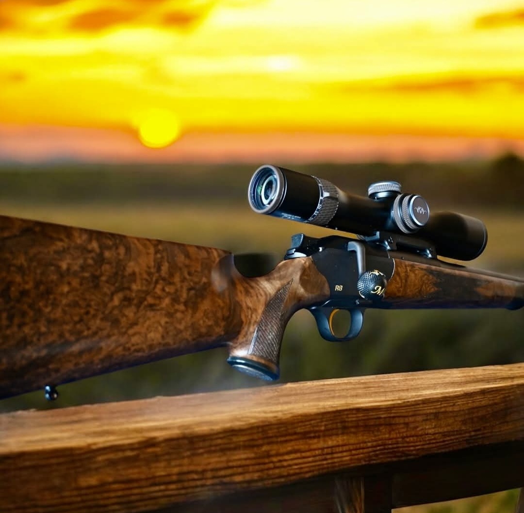 Blaser