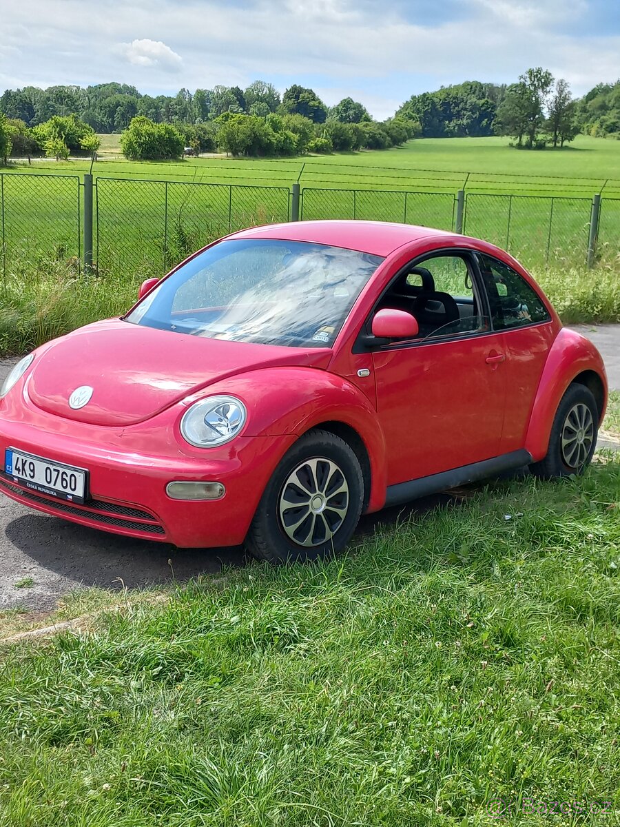 New beetle