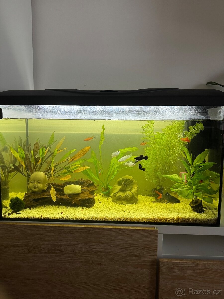 Akvárium 80x50x35 120l