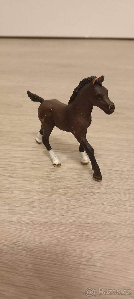 Koník miniatura