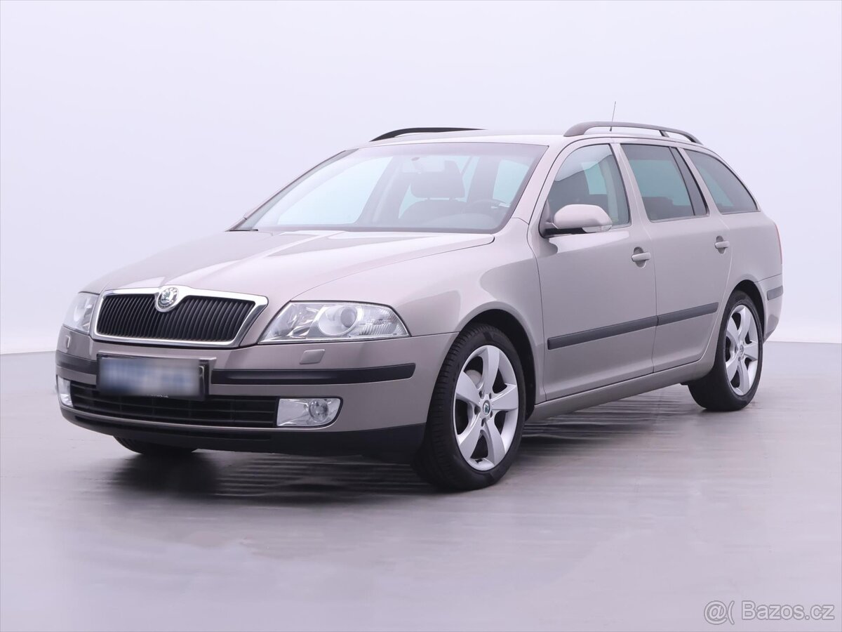 Škoda Octavia 2,0 TDI Elegance + Kůže Xenon (2007)