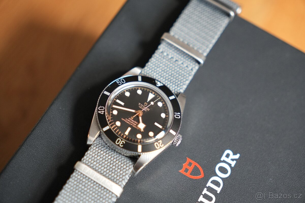Tudor Black Bay 54