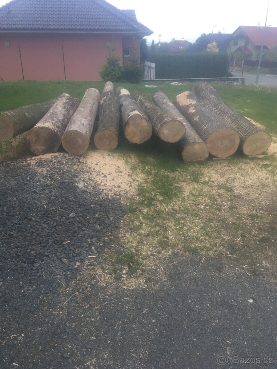 dřevo celé dřevěné kmeny