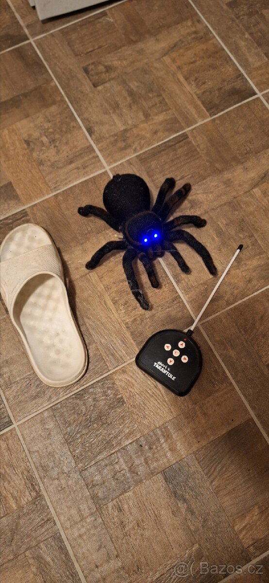 Prodám děsivou tarantuli