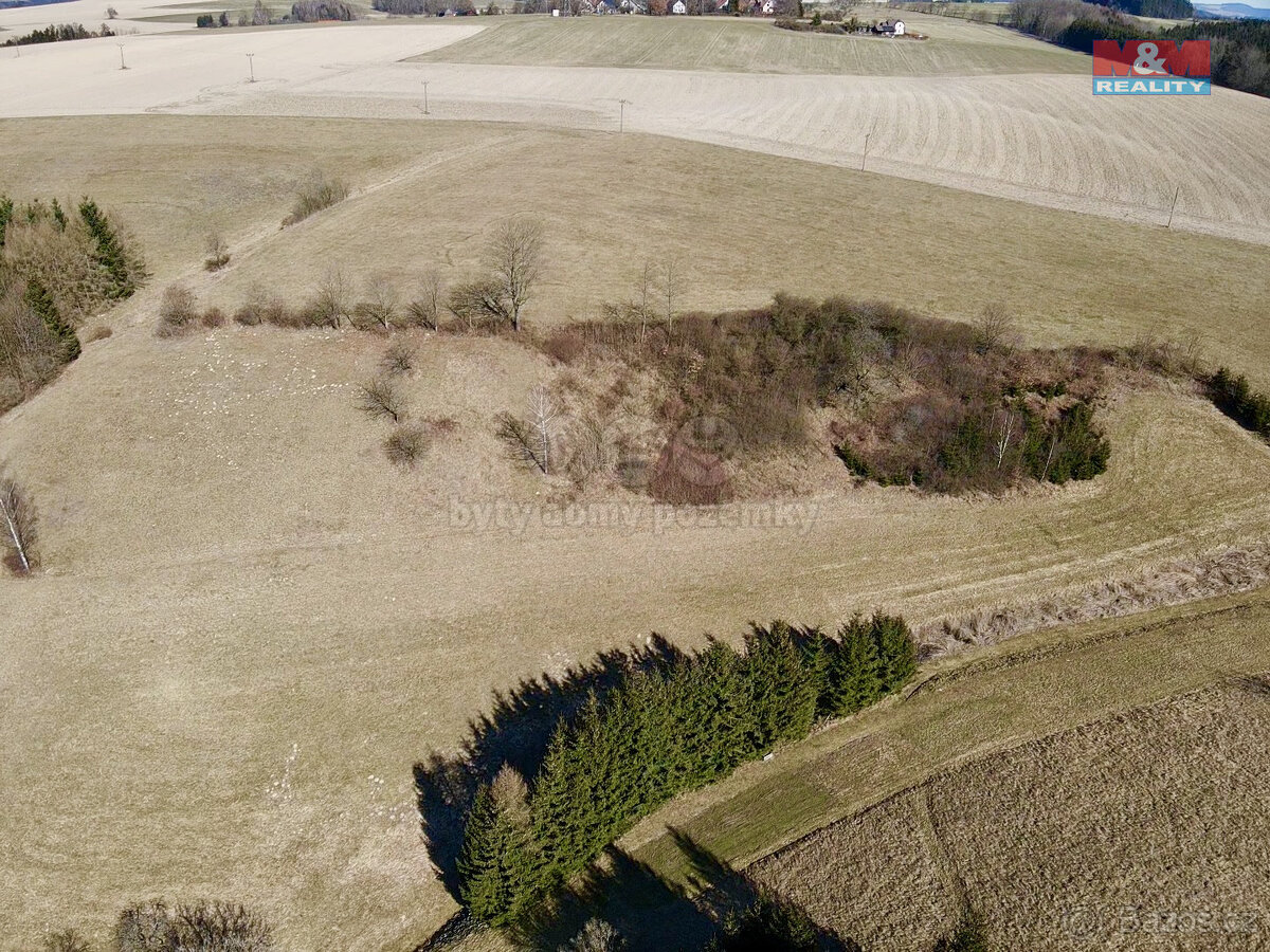 Prodej louky, 15081 m², Rybná nad Zdobnicí