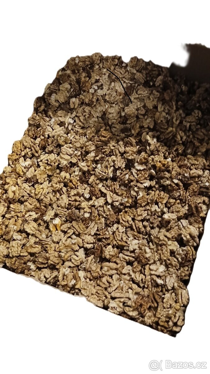 Loupané vlašské ořechy