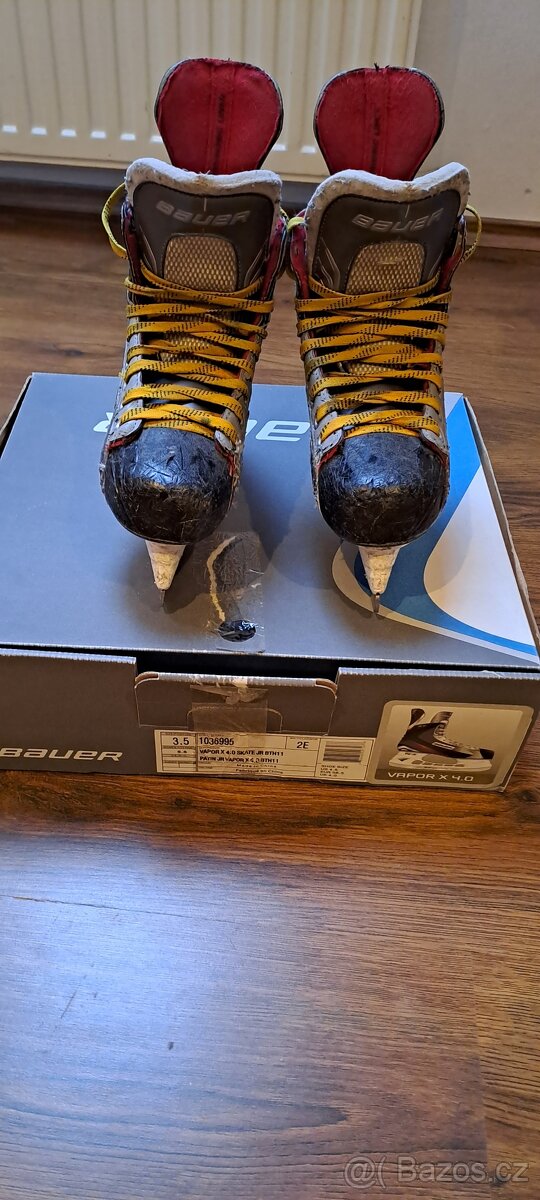 Bauer brusle 36,5