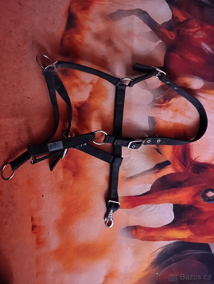 Nová ohlávka Busse riding