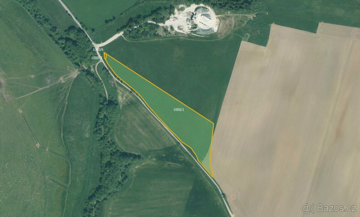 Zemědělská půda, prodej, Skviřín, Bor, Tachov