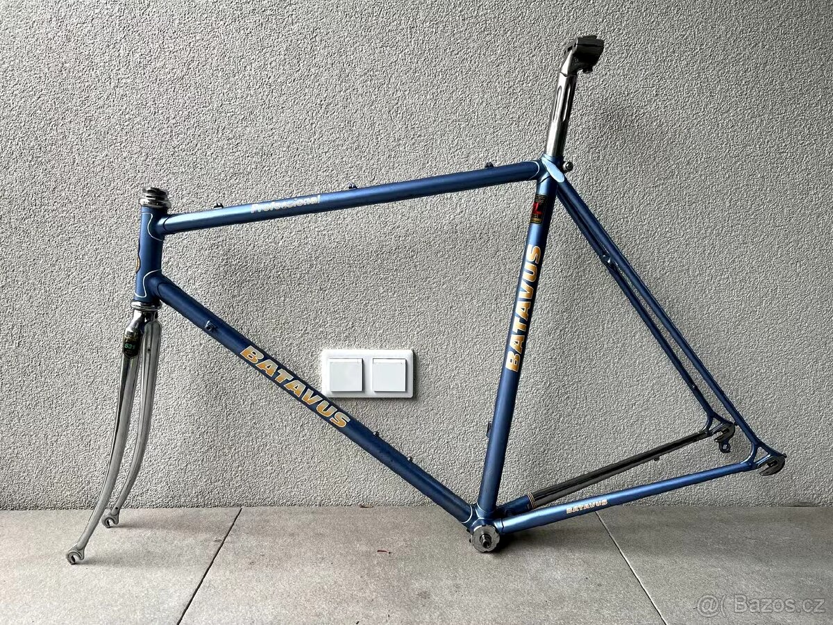 Batavus Professional - Reynolds 531 Professional