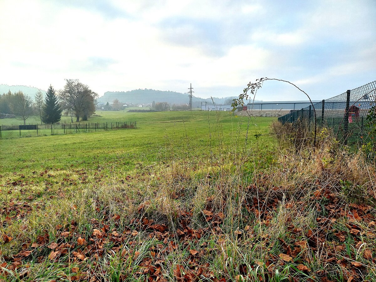 Prodej pozemku u Žamberka, určený k zástavbě RD