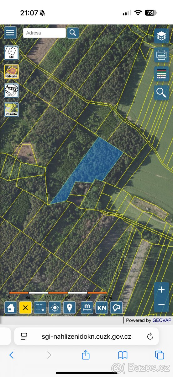 Prodej lesního pozemku v k.ú.Domašín okr.Vlašim