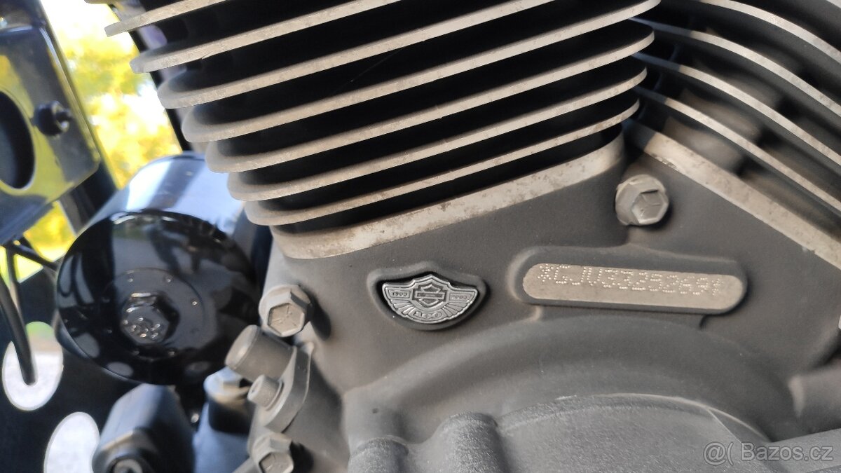 Harley Davidson FXDX Super Glide Sport 2003,100 Annivesrary