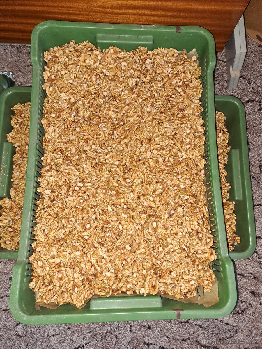 Vlašské ořechy loupané letošní