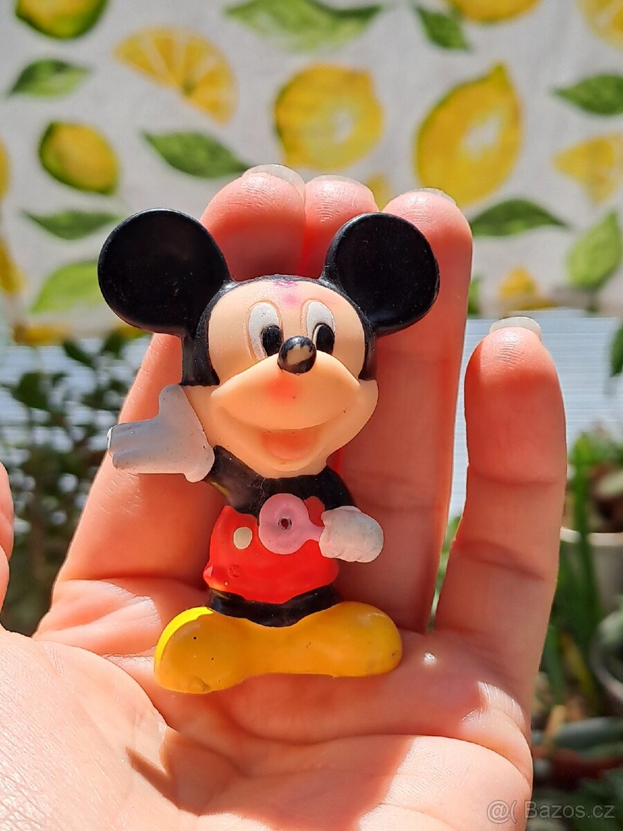 Mickey mouse zn. Simba