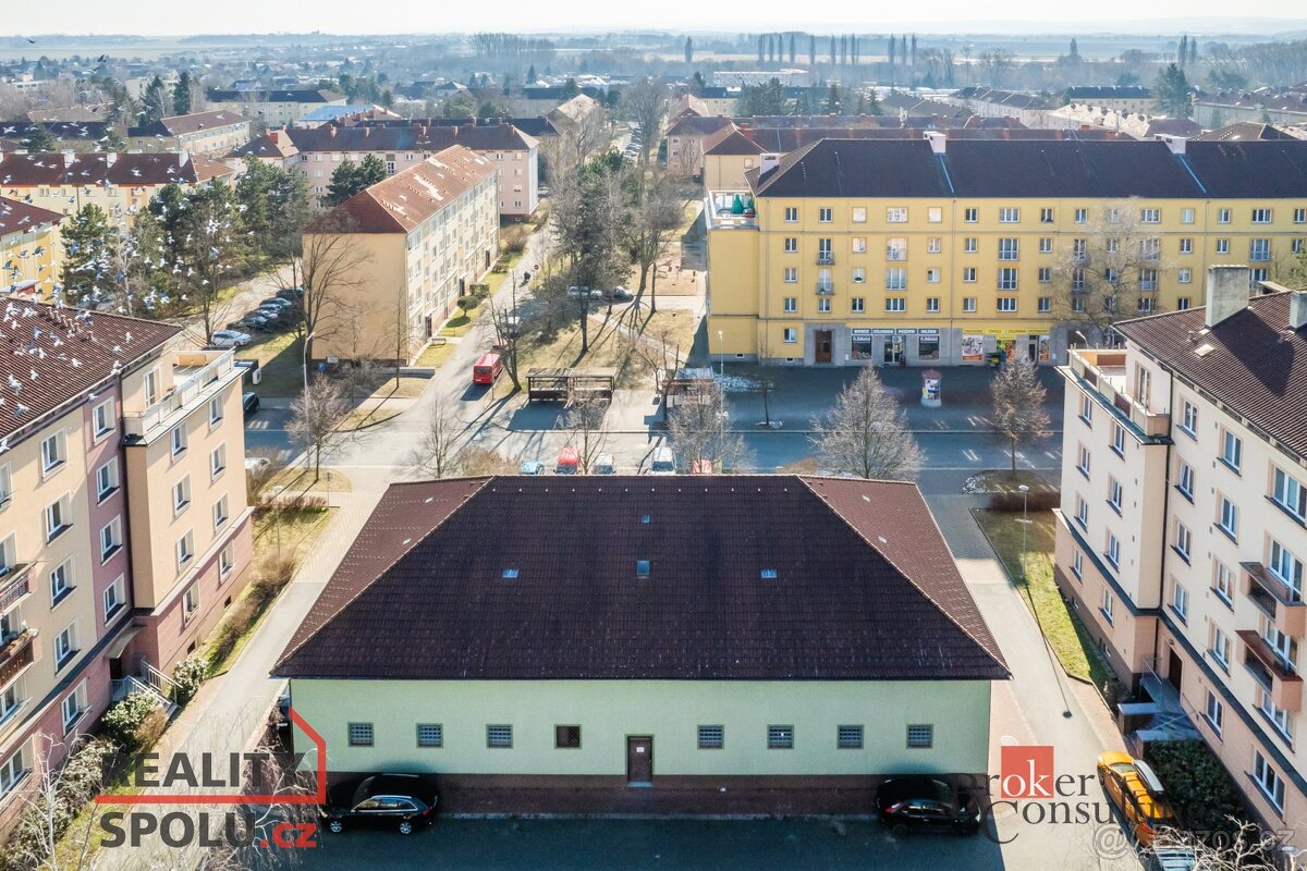 Prodej, komerční/obchodní prostory, 780 m2, Jilemnického 276