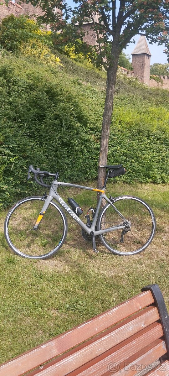 Willier GTR Triestina