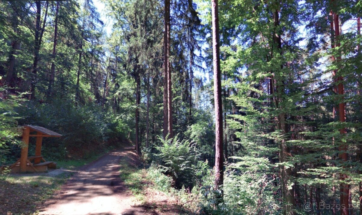 Les Rabí - Čepice 2485 m2