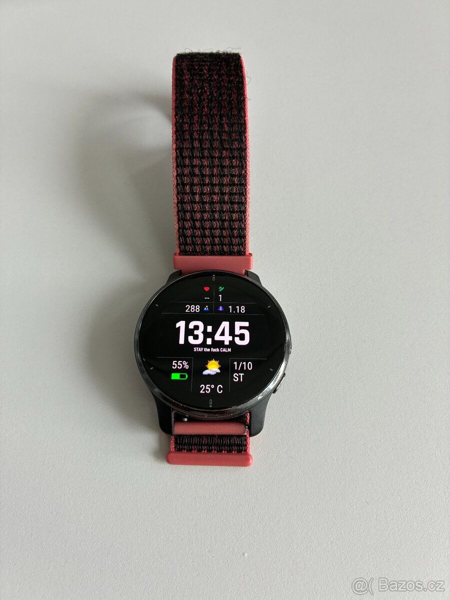 GARMIN VENU 2 PLUS