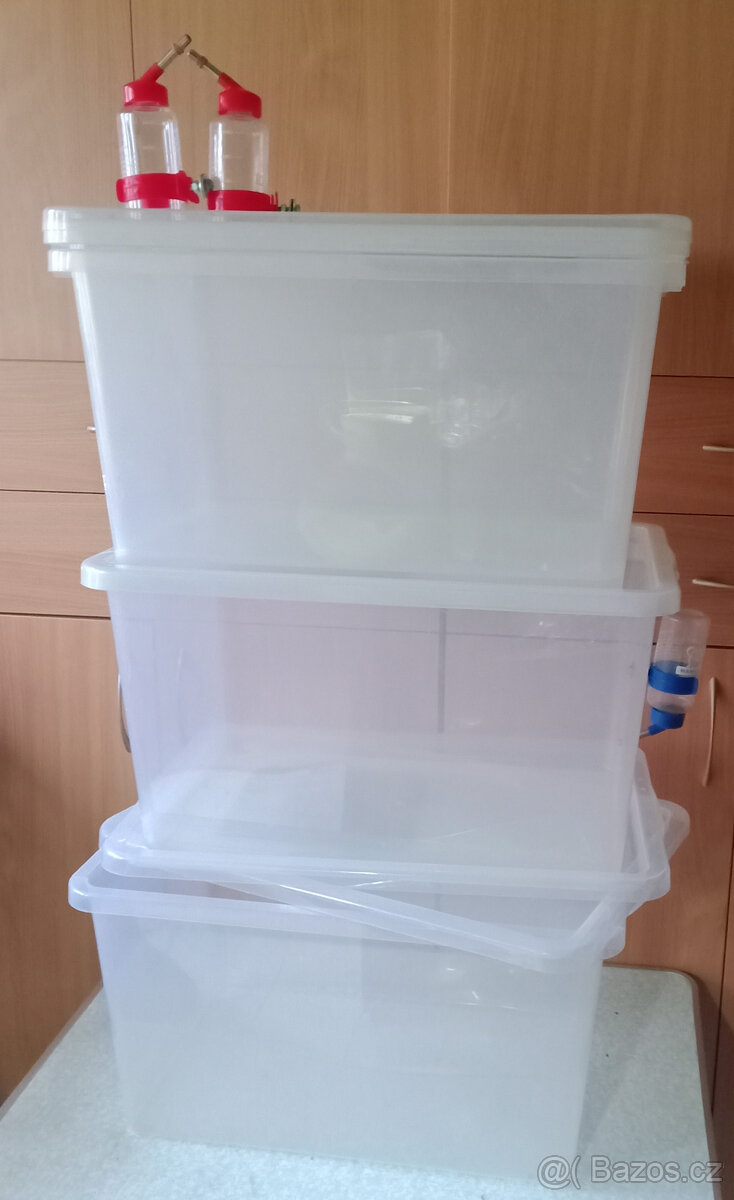 1, Chovatelský box MAXI 50x32x31