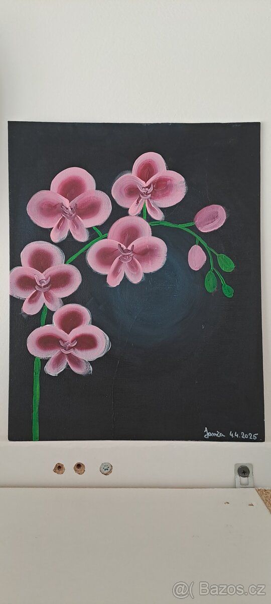 Obraz orchidej
