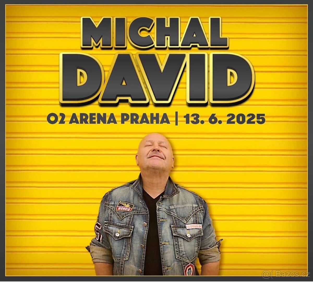 Klubové VIP MICHAL DAVID, O2 Arena 13.6.