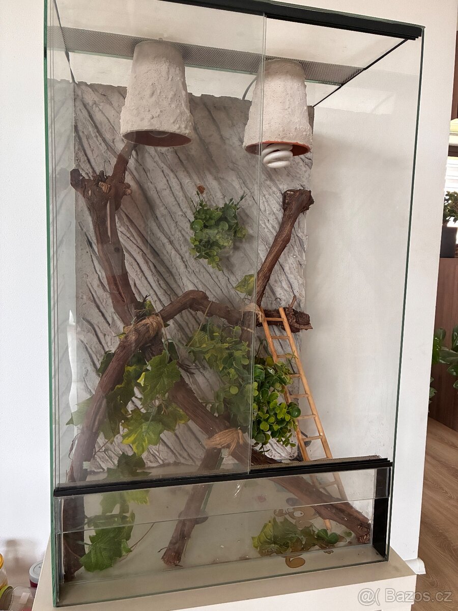 Terarium pro chameleona