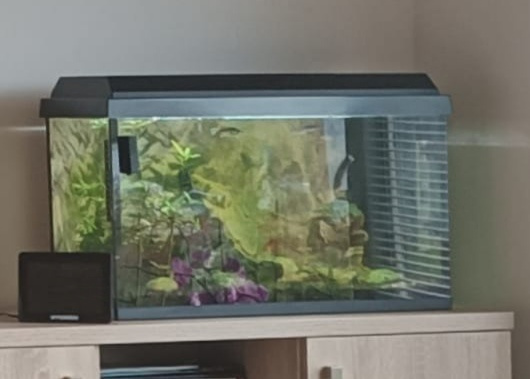 Akvárium 63 litrů s příslušenstvím