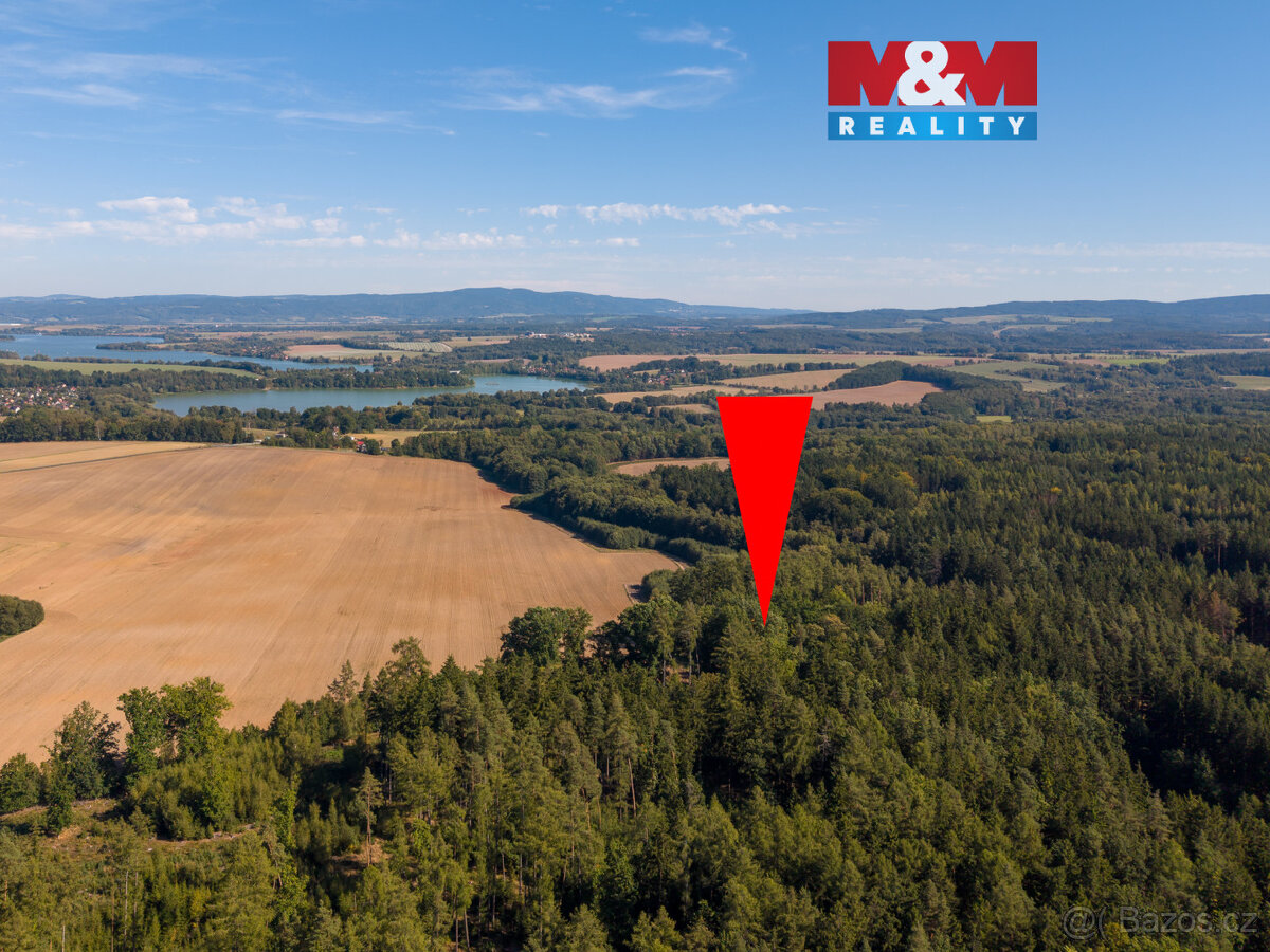 Prodej lesa, 1.757 m², Podhrad, Cheb