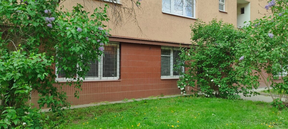 Dlouhodobý pronájem prostor 33,40 m², ul. Tábor, Brno