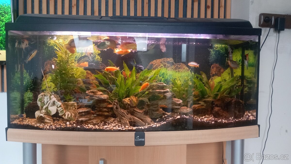 Akvarium 250l s vybavení