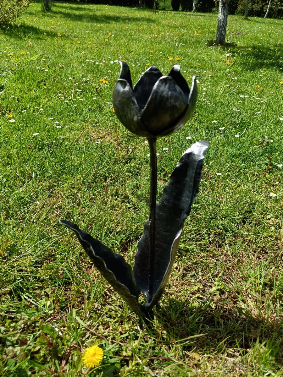Kovaný tulipán