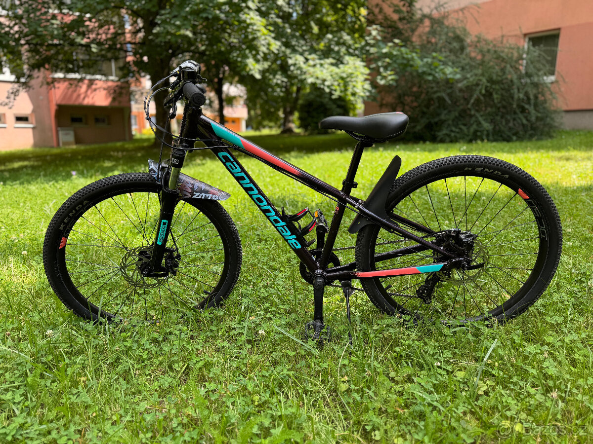 Cannondale Trail 24"