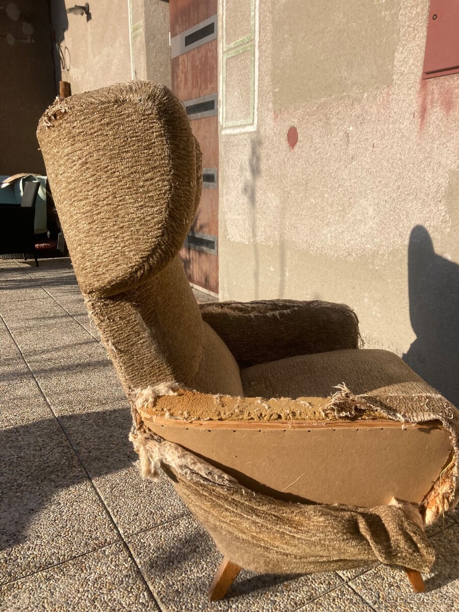 Starý ušák před revovací