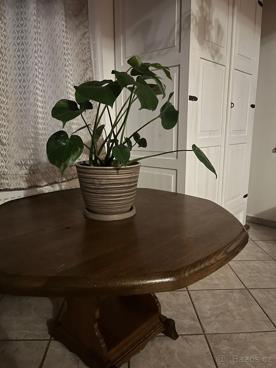 konferenční stůl masiv