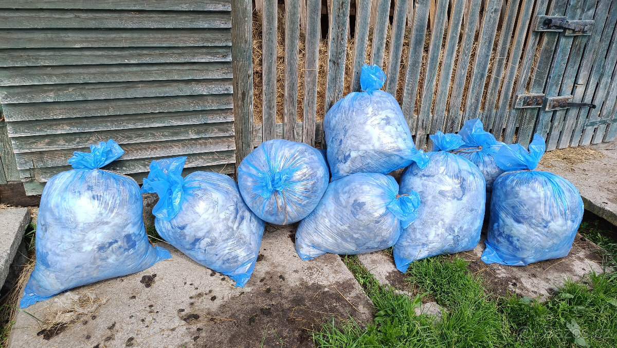 Walliserská ovce - vlna zdarma z 35 kusů