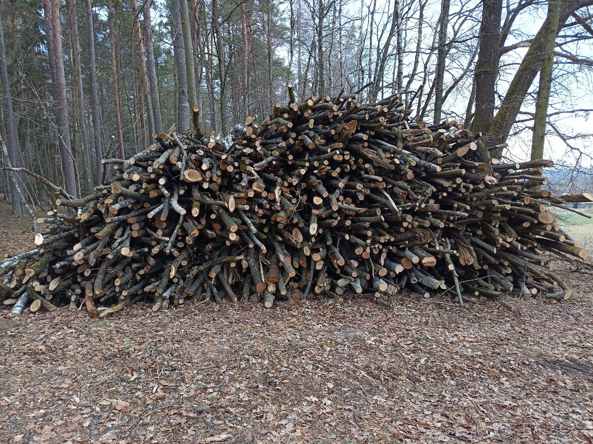 Palivové dřevo bříza,dub