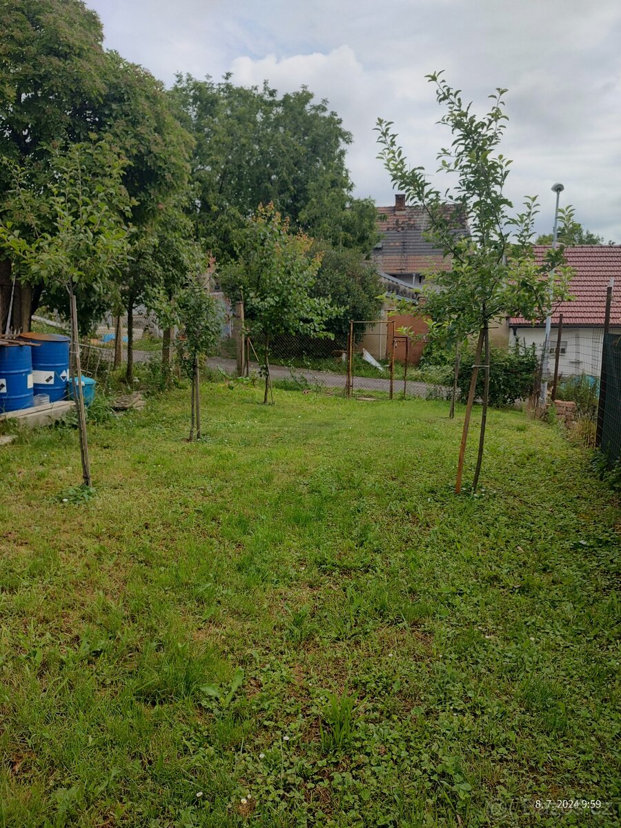 Pronájmu zahradu.