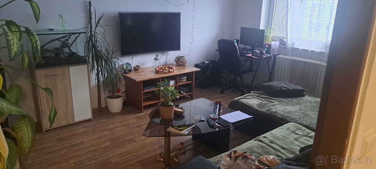 Pronájem bytu 2+1 50 m²