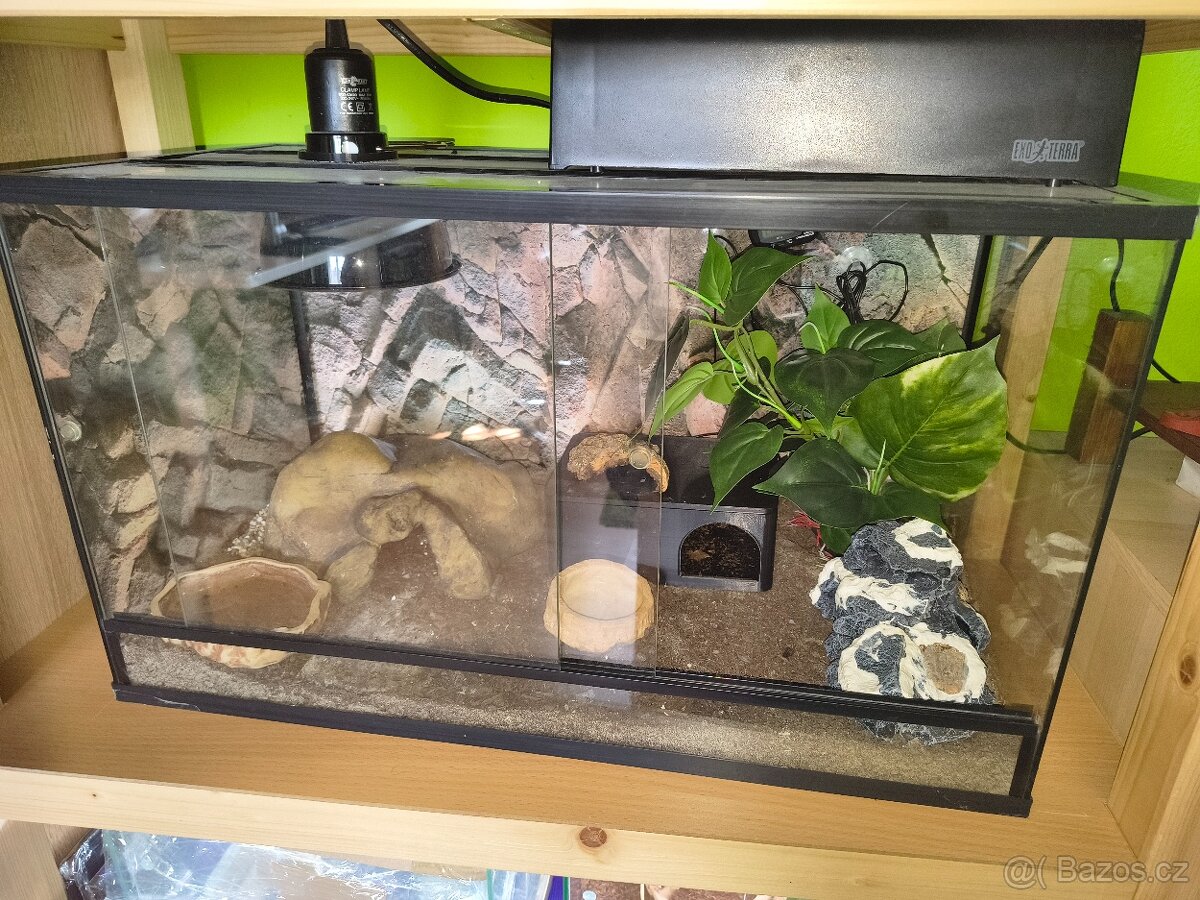 Plně zařízené terárium