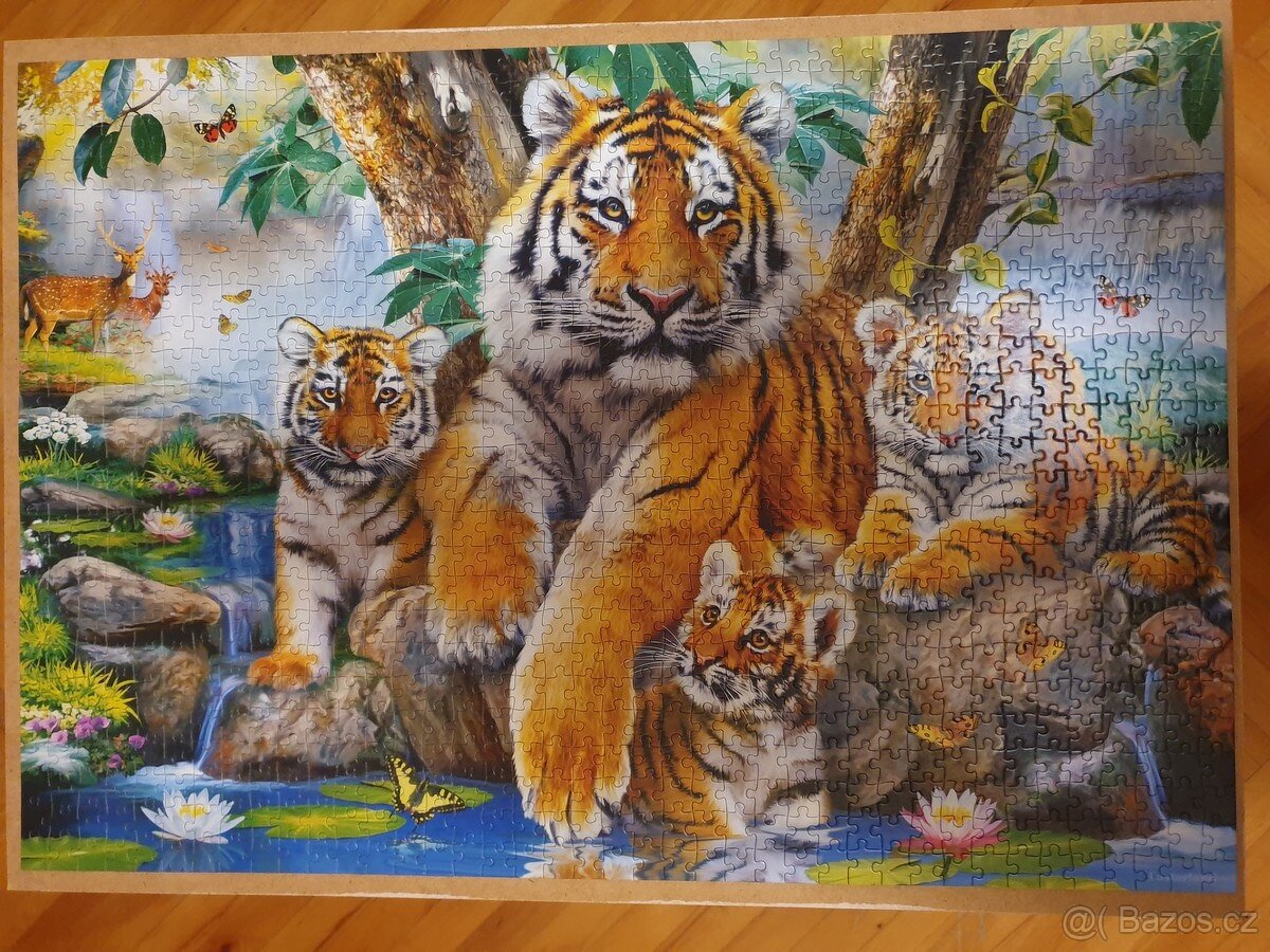 Složené puzzle obraz Tygr tygři 1000 Castorland