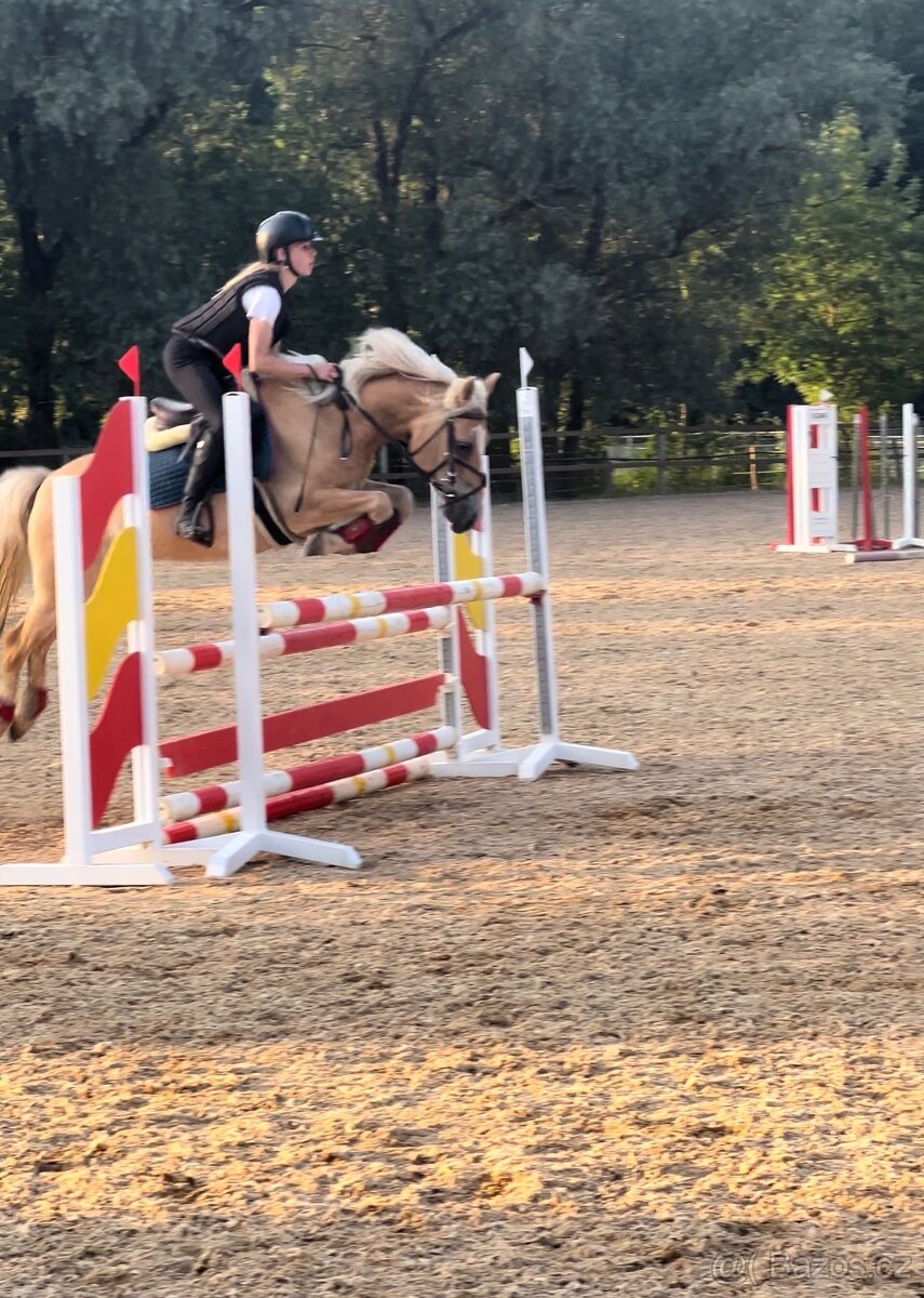 Pony klisna do sportu 10 let/ 133 KVH kat. A