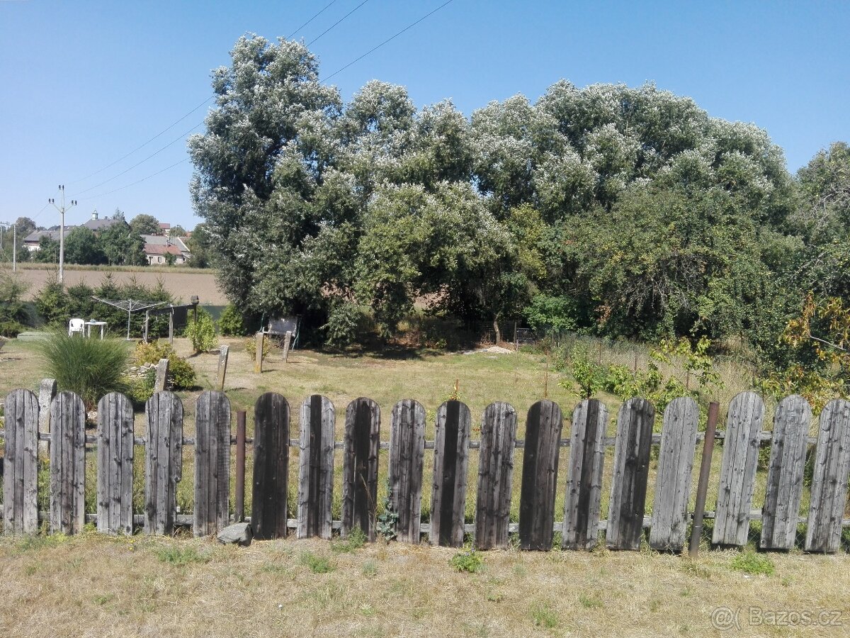 Prodám zahradu v Račicích nad Trotinou - možnost splátek