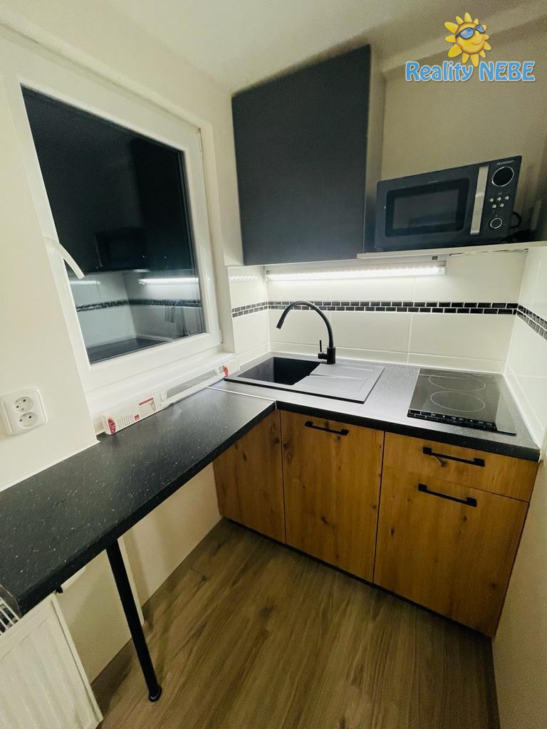 Pronájem bytu 1kk/T 25m2 Ve studeném Praha 4 Braník