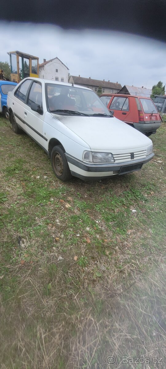 Peugeot 205 a Peugeot 405 1.9 diesel oba .