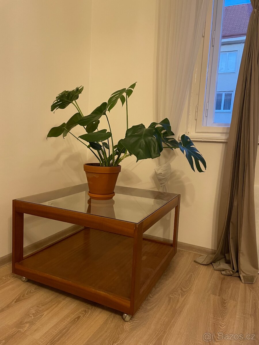 Skleněný vintage stůl/vitrína